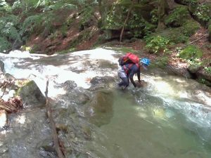 ヌク沢下流域